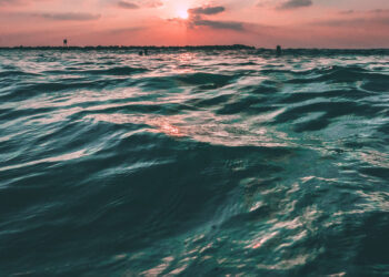 VIDEO: Familie en vrienden vinden 23-jarige jongen na 2 uur zoeken op zee