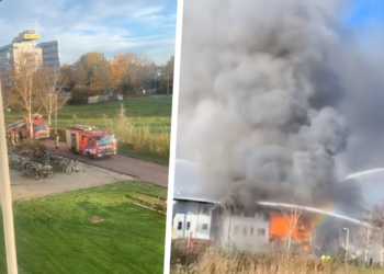 VIDEO: Dame maakt opvallende TikTok-video terwijl haar appartement in lichterlaaie staat