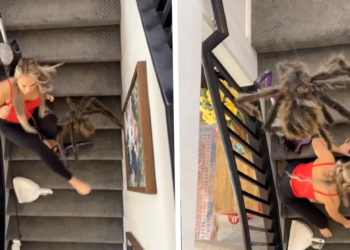 VIDEO: Met deze grap zorg jij dat je dit weekend op de bank slaapt