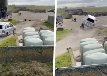 VIDEO: Boeren stunten met auto’s over zelfgebouwde helling