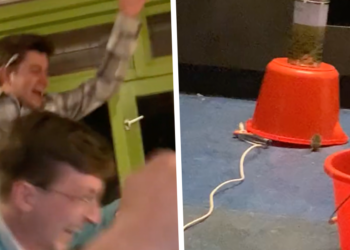 VIDEO: Vriendengroep gaat helemaal los na vangst van een muis