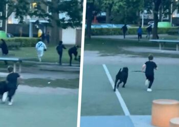 VIDEO: Jongeman verslaat groep pesters met een hilarische oplossing