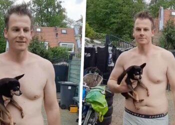 VIDEO: Rapper Sjors verrast met eigenzinnige TikTok-video: hond in zijn hand