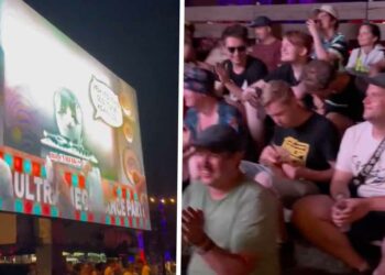 VIDEO: Volwassen mensen kijken naar dansende katten en doen ‘miauw miauw’ op Defqon.1