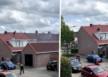 HEFTIGE BEELDEN: Verwarde man gered van dreigende sprong vanaf zijn eigen dak