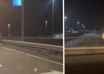 VIDEO: Vrouw rijdt in tegengestelde richting op de snelweg met haar bakfiets
