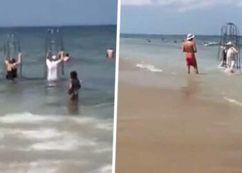 VIDEO: Bejaard stel wil geen risico nemen en zwemt met een haaienkooi in Spanje