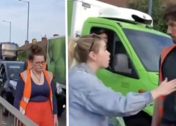 VIDEO: Klimaatactivisten weigeren een moeder met een zieke baby door te laten.