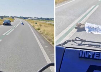 VIDEO: Vrachtwagenchauffeur krijgt het aan de stok met een klimaatactivist in Ter Apel