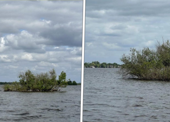 WAT: Dit ‘prive-eiland’ in de Loosdrechtse plassen wordt aangeboden voor een immens bedrag