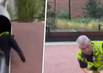 VIDEO: Politieagent test glijbaan uit en maakt een vervelende val