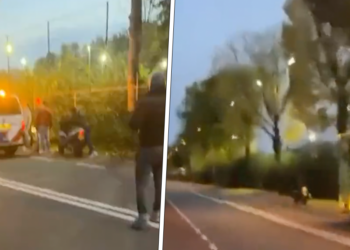 Header x scooter ontsnapping