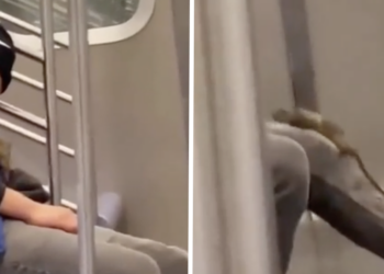 VIDEO: Jongen die wat uurtjes wil inhalen krijgt onverwachts bezoek in de trein