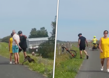 header x mountenbike voetpad