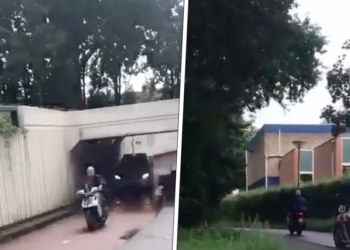 header x opa achtervolging