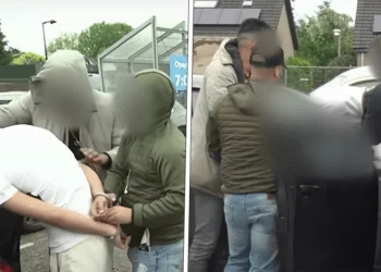 header x alberto stegeman