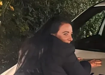 Genoeg internet voor vandaag: Nicol Kremers is gefotografeerd terwijl ze tegen een politieauto leunt