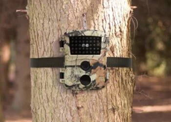 Action stunt nu tijdelijk met deze de HD Wildcamera voor 29,95 euro