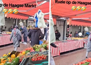 header x haagse markt