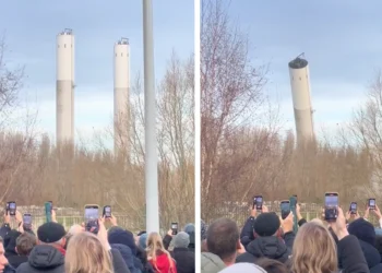 BIEM: 72 meter hoge torens worden opgeblazen in België