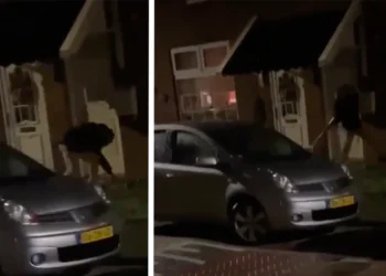 VIDEO: Emoties lopen hoog op in Almelo wanneer man voorruit in slaat