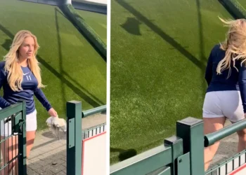 header x ilse van esch 2