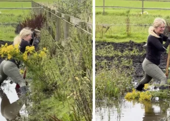 VIDEO: Blondine boerin blijft steken in de modder: pakt miljoenen views