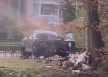 Auto boom amersfoort