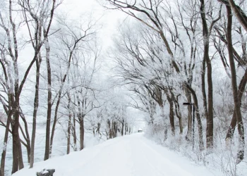 WOW: Sneeuwliefhebbers opgelet: november is jullie maand!