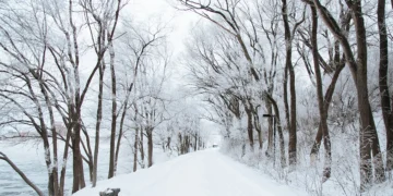 WOW: Sneeuwliefhebbers opgelet: november is jullie maand!