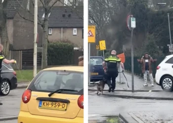 Schokkend! Politie Rotterdam pakt verwarde man hard aan (taser en hond)