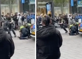 VIDEO: Alles kan in Den Haag, jongeman jat telefoon van politie tijdens aanhouding