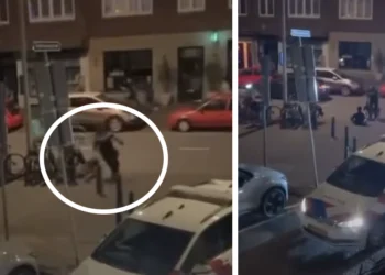 VIDEO: Politie zet politiehonden in tegen relschoppers: politiehond wint.