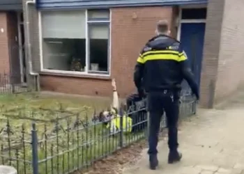 VIDEO: Politieman moet door collega’s geholpen worden bij problemen bij aanhouding