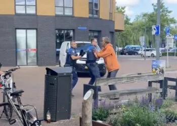 VIDEO: BOA’s in de problemen bij aanhouding in Beverwijk: Vrouw schiet te hulp