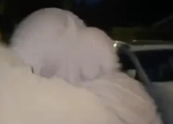 VIDEO: Twee vrouwen betrapt door woedende man na diefstal bij graf (na 1 dag)