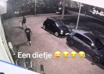 VIDEO: Poolse man wil diefstal plegen bij zaak van ondernemer: ondernemer Theo grijpt zelf wel in