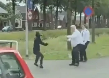 VIDEO: Vluchteling in Ter Apel valt twee boa’s aan met een hard voorwerp
