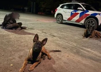 FOTO’S: Boeren uit de polder nemen het heft in eigen handen en vangen boeven (en delen foto’s)