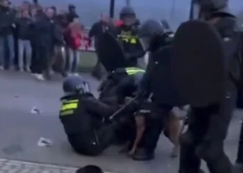 VIDEO: Politiehond grijpt agent tijdens rellen tussen Heracles en FC Twente-supporters