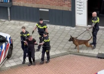 VIDEO: Buitenlandse man blijft schreeuwen naar politie, politiehond doet zijn ding