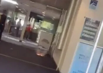 VIDEO: Jongeren gooien Cobra 6 naar binnen bij zwembad in Ridderkerk, vrouw ontsnapt op nippertje