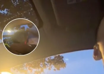 VIDEO: Jongeman pakt taxirit van €340 en rent weg bij aankomst: taxichauffeur legt alles vast