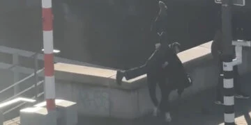 VIDEO: Jongeman wordt zwaar mishandeld op brug in Zaandam